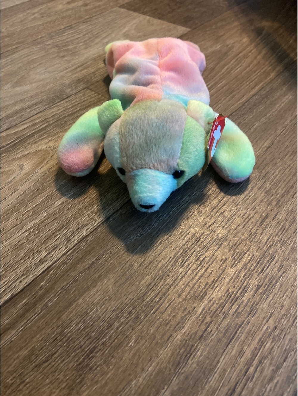 Ty Beanie Baby Sammy the Bear Plush Toy - Pastel Tie-Dye